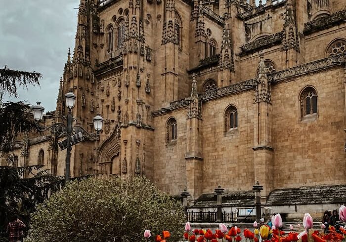 Plaza Mayor of Salamanca during an exclusive tour with EuroPlanTours.